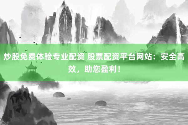 炒股免费体验专业配资 股票配资平台网站：安全高效，助您盈利！