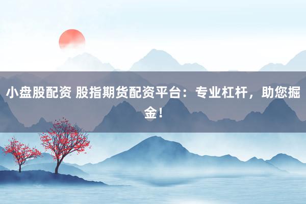 小盘股配资 股指期货配资平台：专业杠杆，助您掘金！