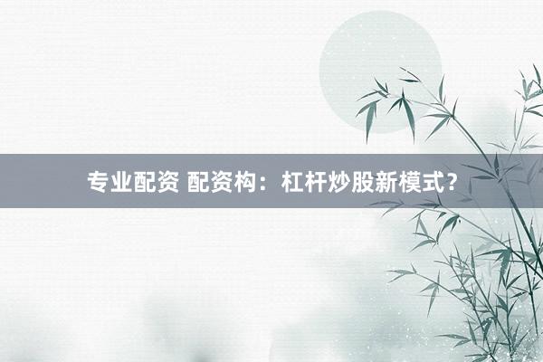 专业配资 配资构：杠杆炒股新模式？